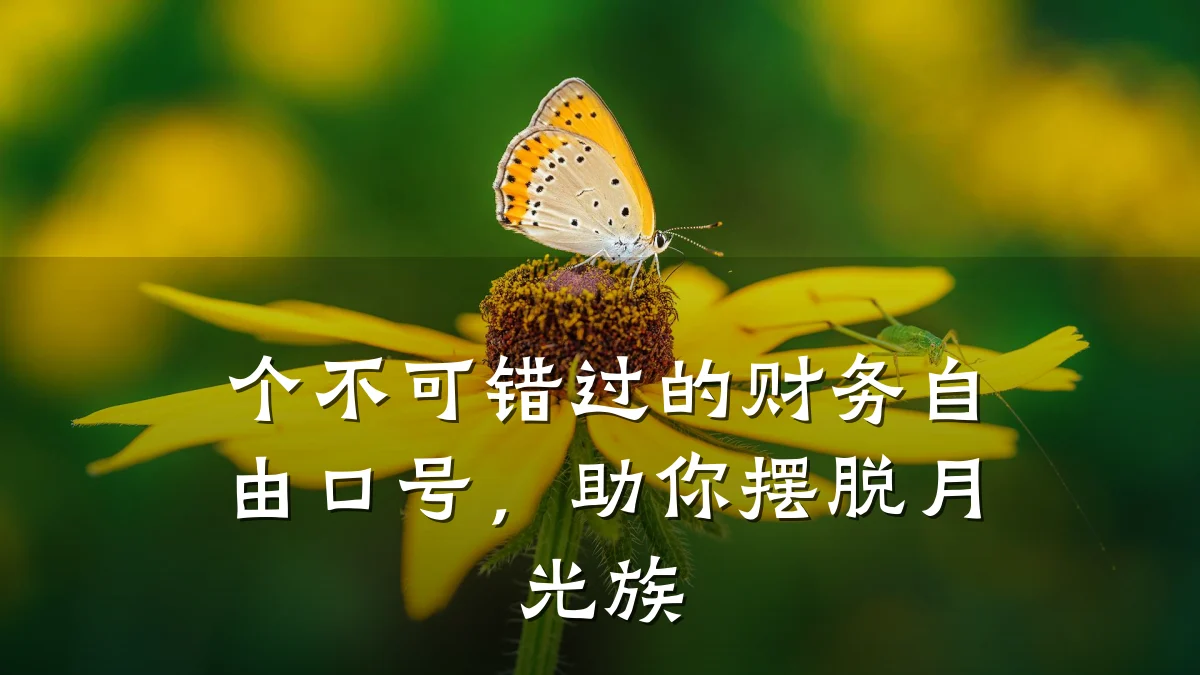 个不可错过的财务自由口号,助你摆脱月光族