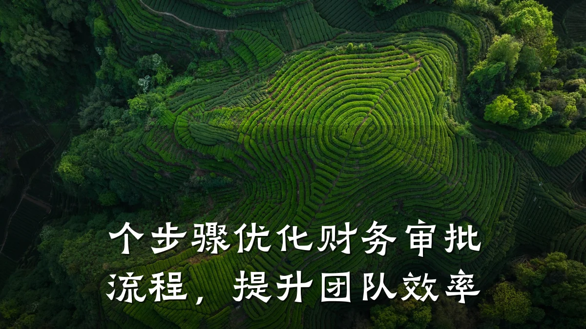个步骤优化财务审批流程,提升团队效率