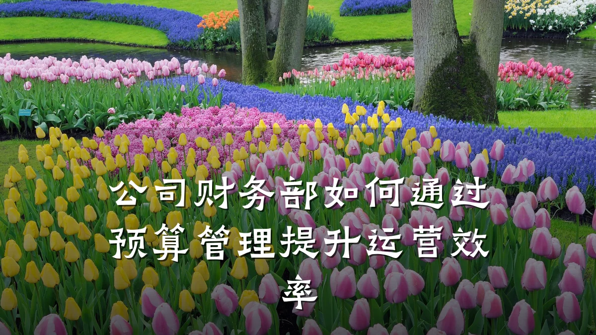 公司财务部如何通过预算管理提升运营效率
