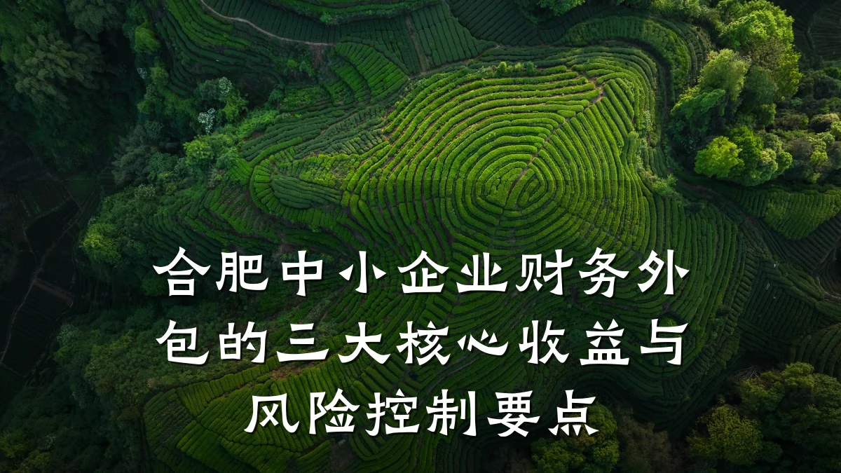 合肥中小企业财务外包的三大核心收益与风险控制要点