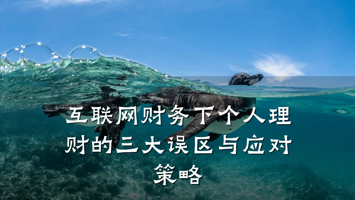 互联网财务下个人理财的三大误区与应对策略