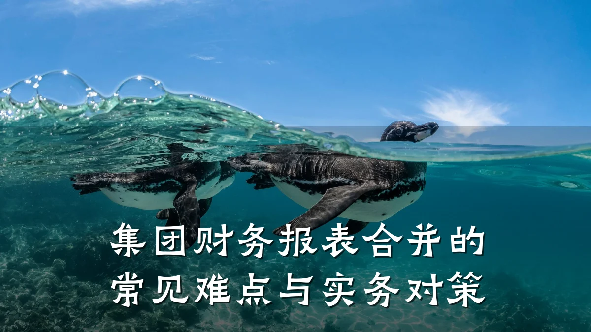 集团财务报表合并的常见难点与实务对策