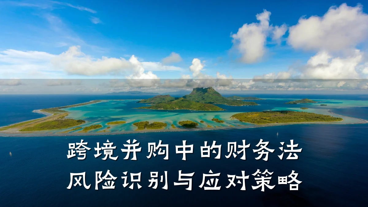 跨境并购中的财务法风险识别与应对策略