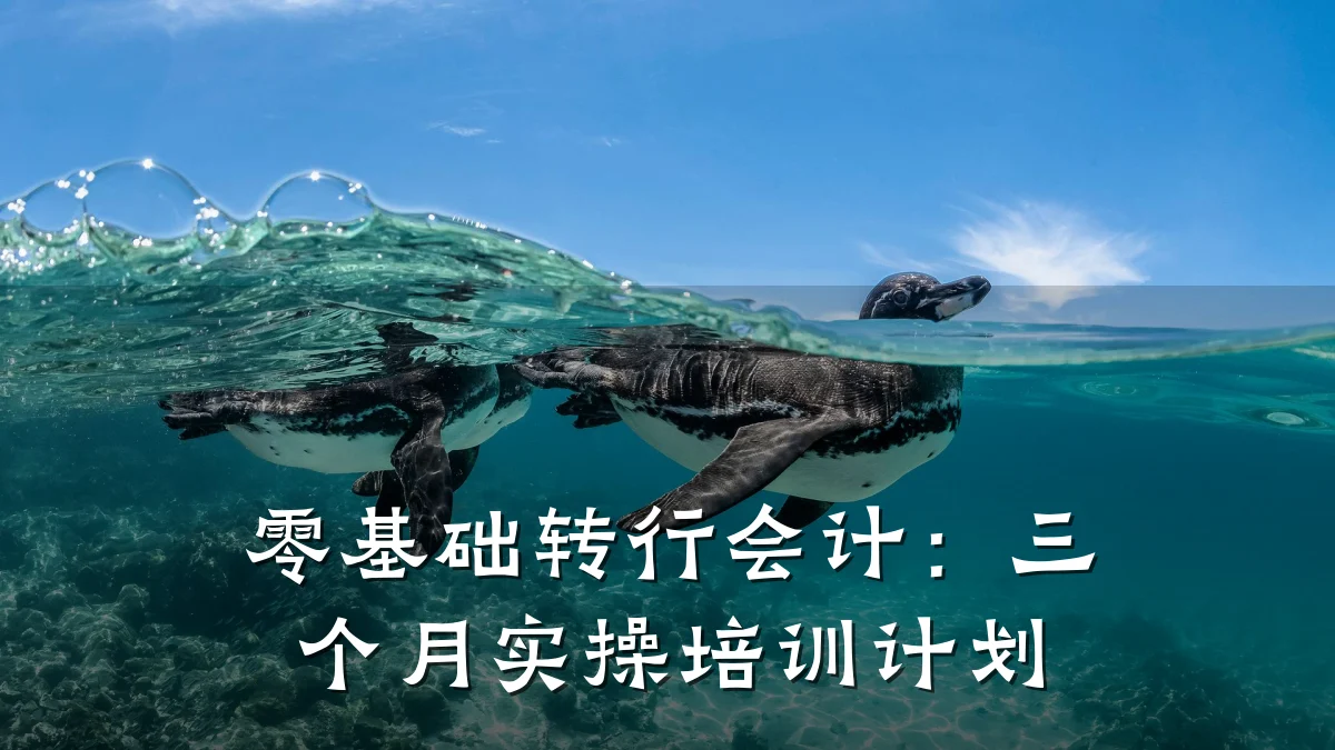 零基础转行会计:三个月实操培训计划