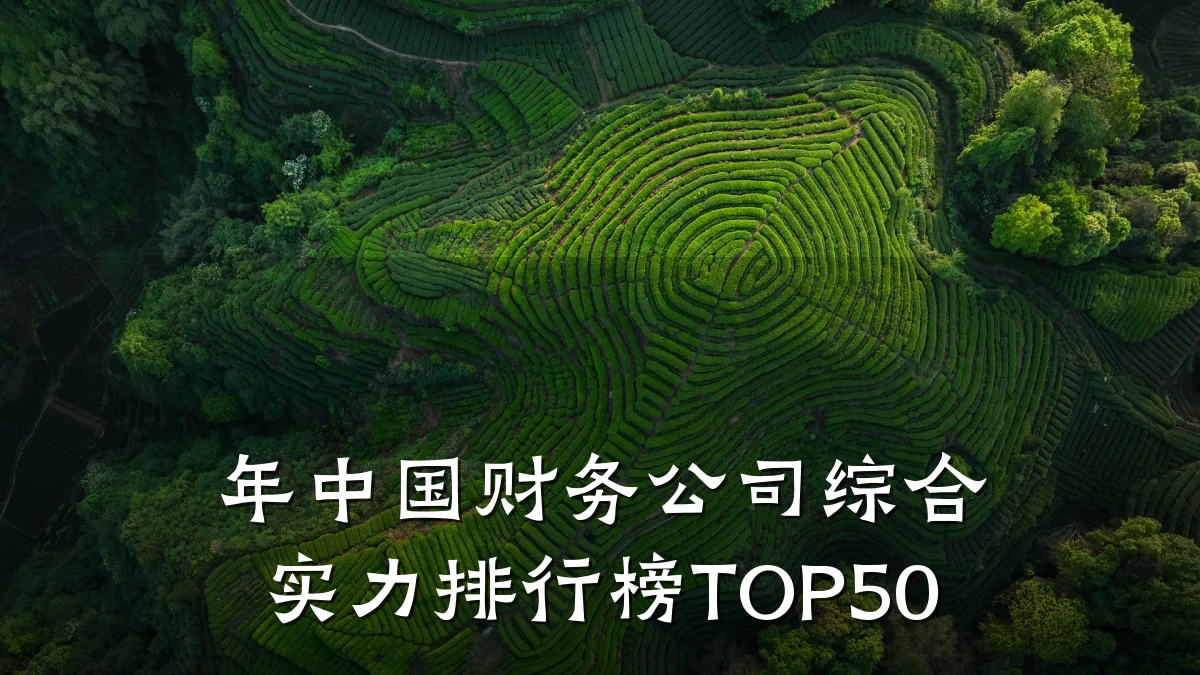 年中国财务公司综合实力排行榜TOP50