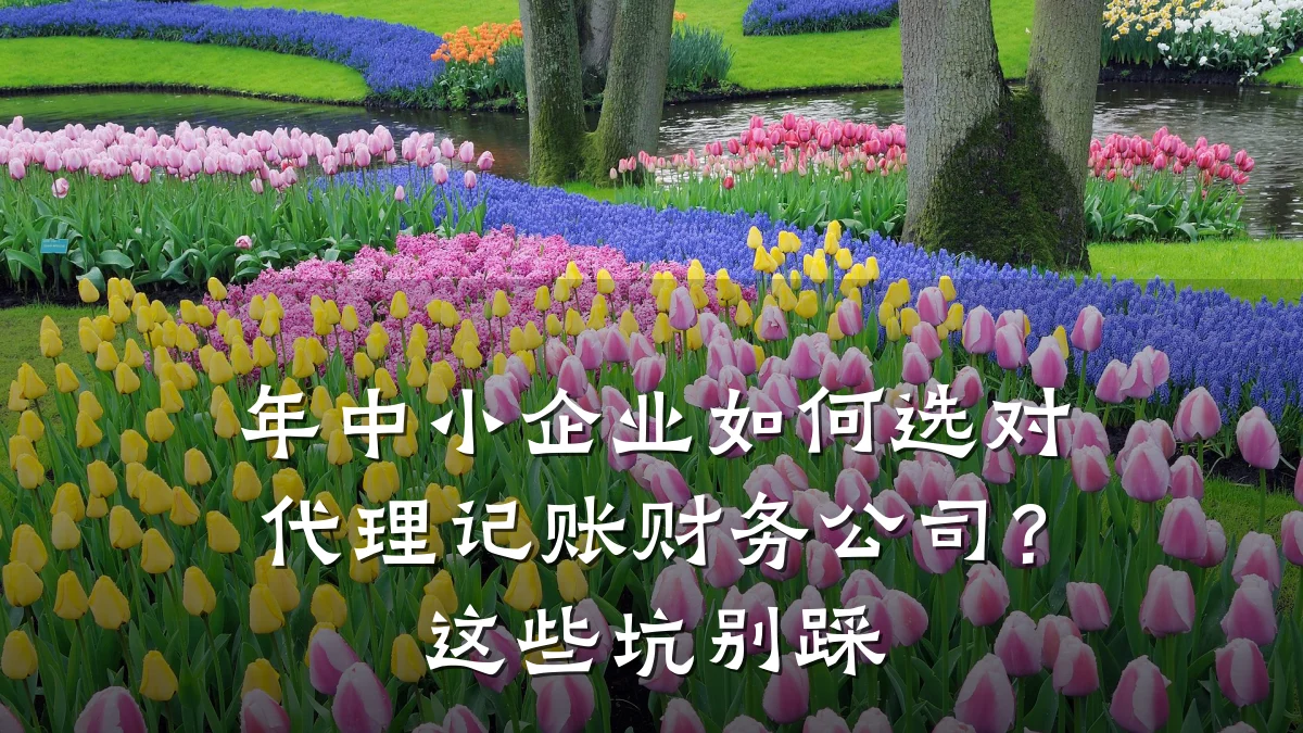年中小企业如何选对代理记账财务公司?这些坑别踩