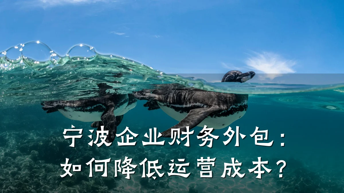 宁波企业财务外包:如何降低运营成本?