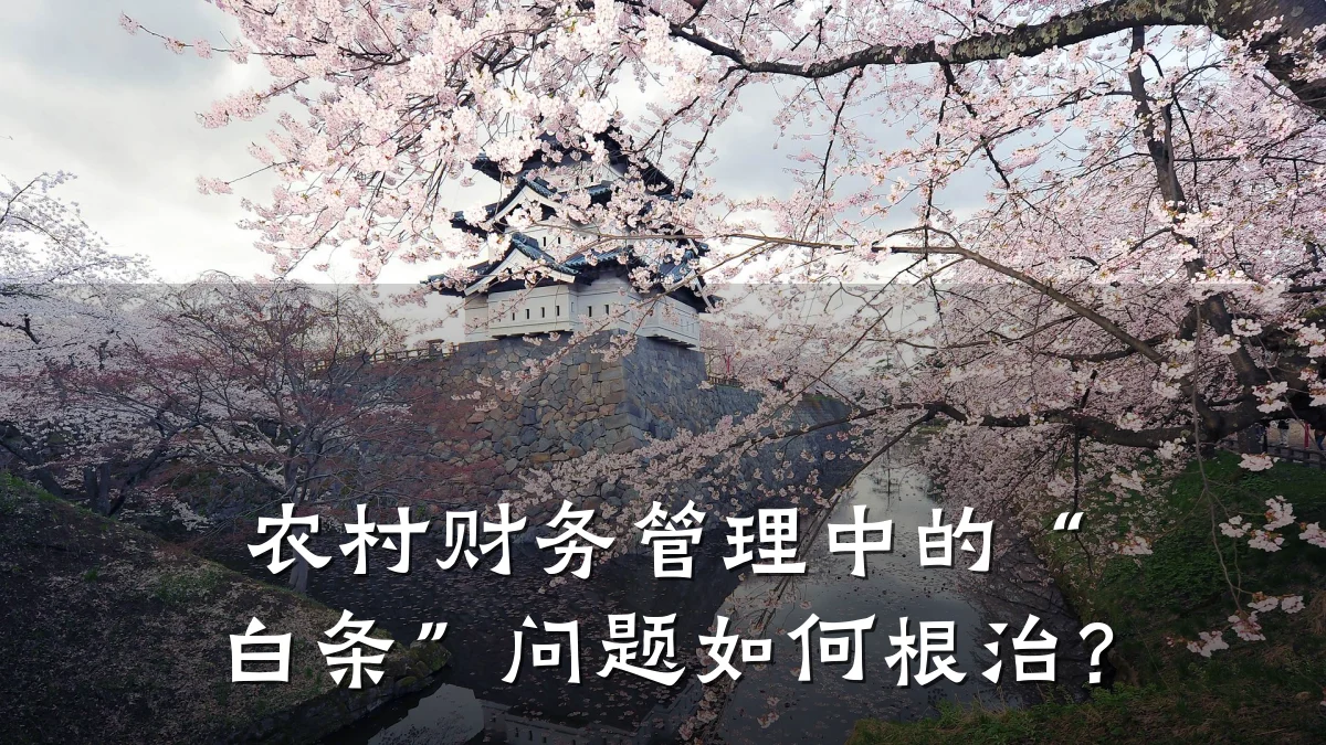 农村财务管理中的“白条”问题如何根治？