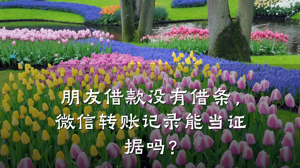 朋友借款没有借条,微信转账记录能当证据吗?