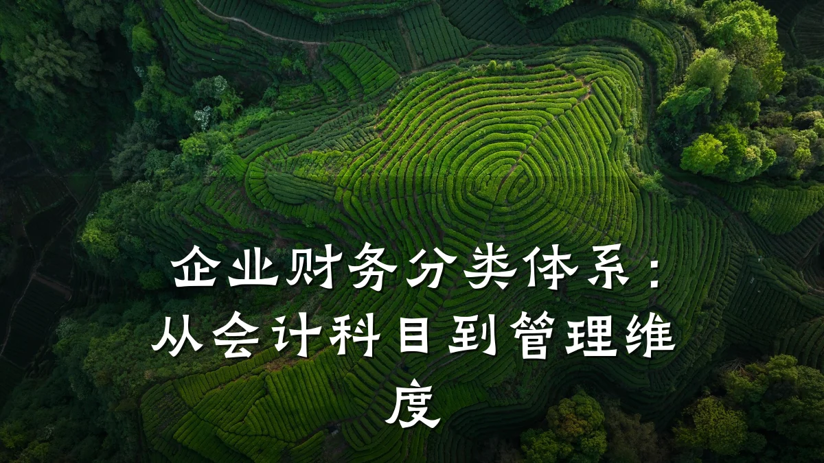 企业财务分类体系:从会计科目到管理维度