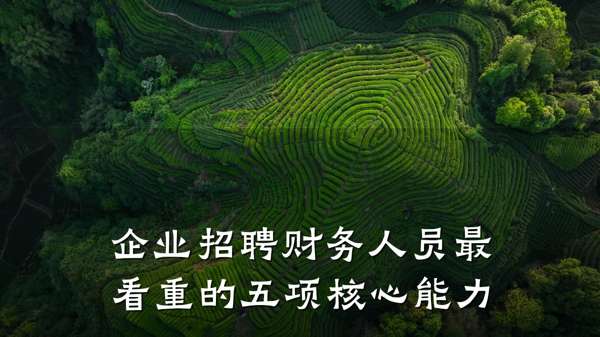企业招聘财务人员最看重的五项核心能力