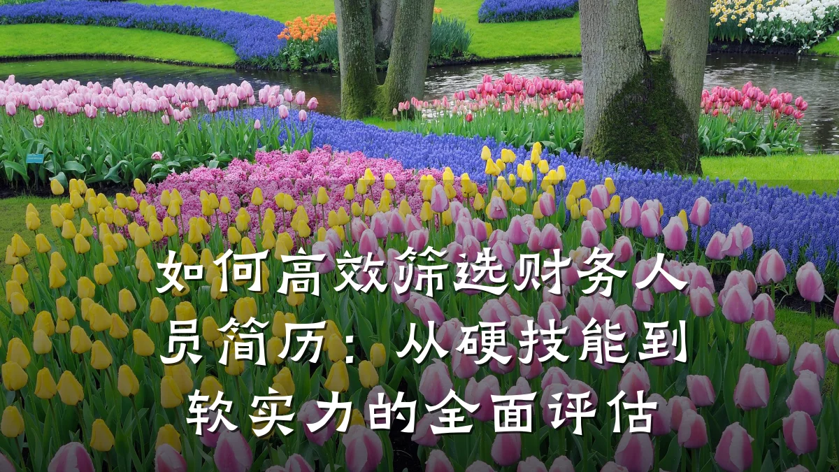 如何高效筛选财务人员简历:从硬技能到软实力的全面评估