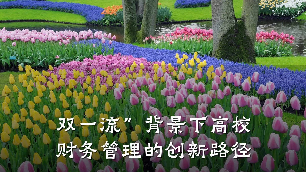 双一流”背景下高校财务管理的创新路径