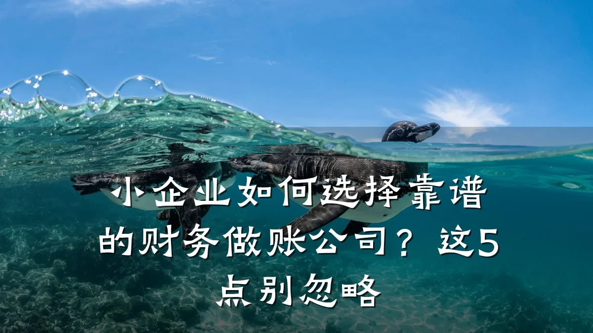 小企业如何选择靠谱的财务做账公司?这5点别忽略