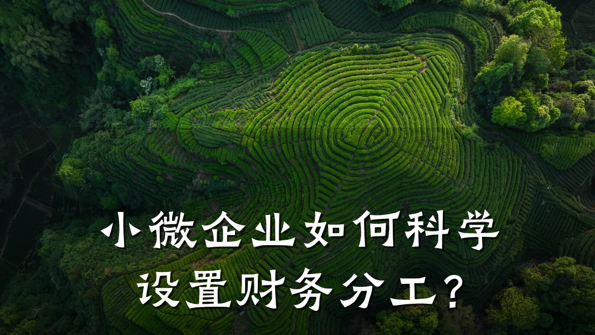 小微企业如何科学设置财务分工?