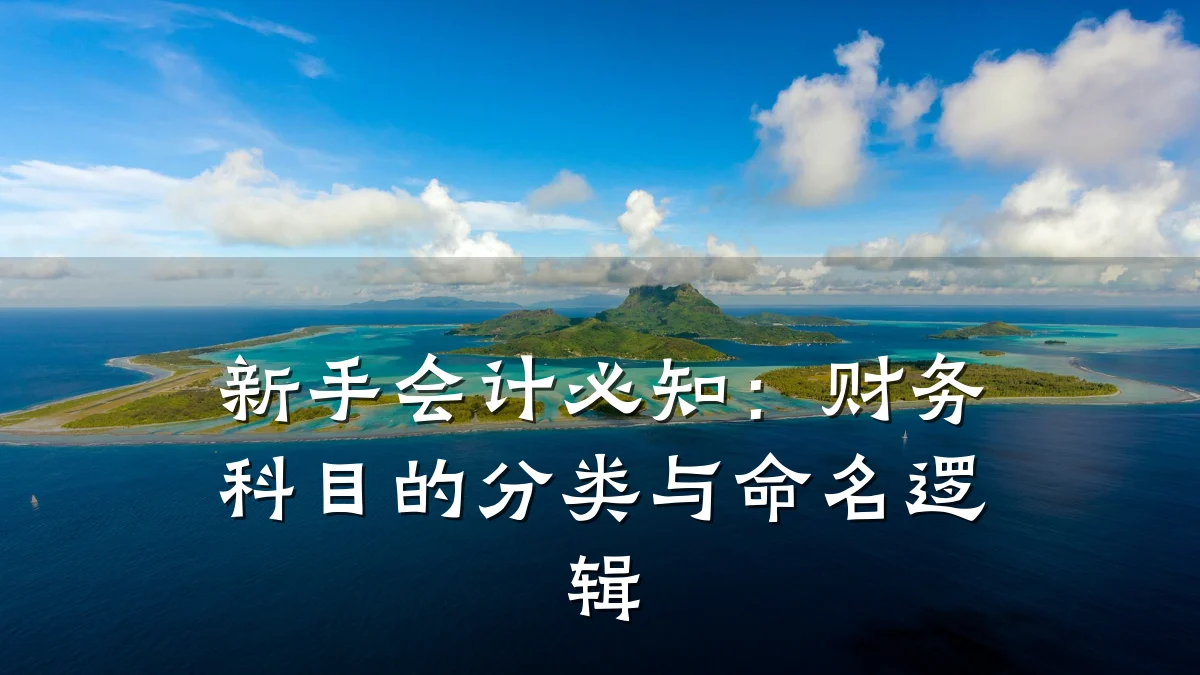 新手会计必知:财务科目的分类与命名逻辑