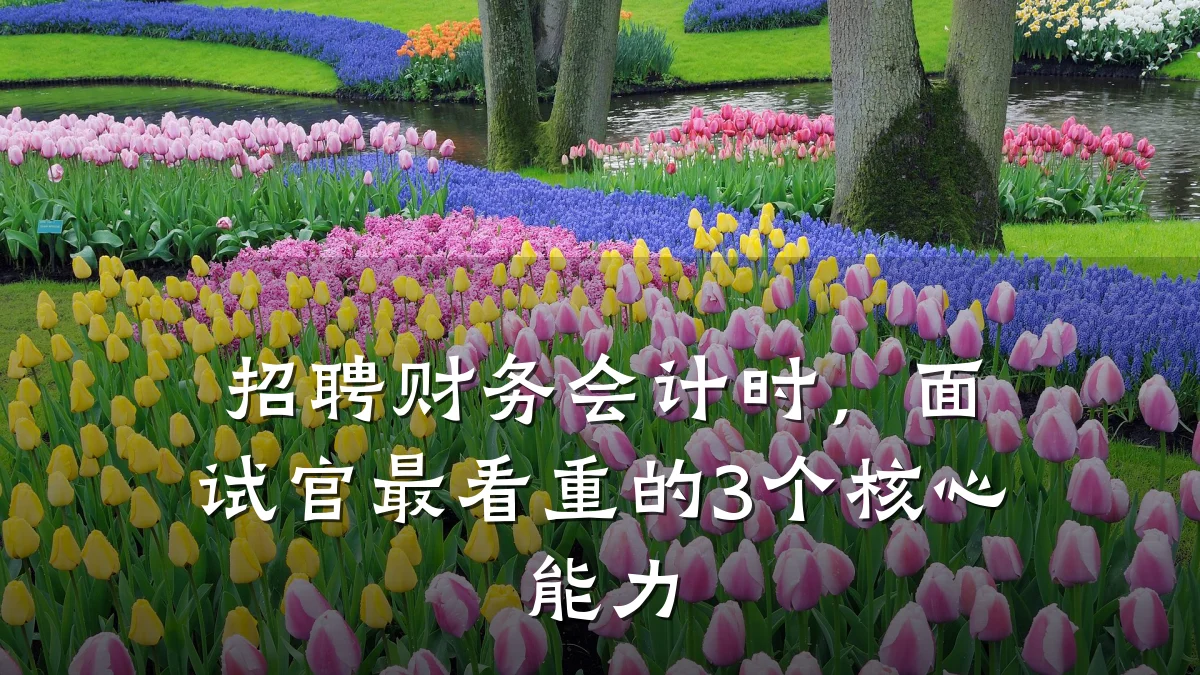 招聘财务会计时,面试官最看重的3个核心能力