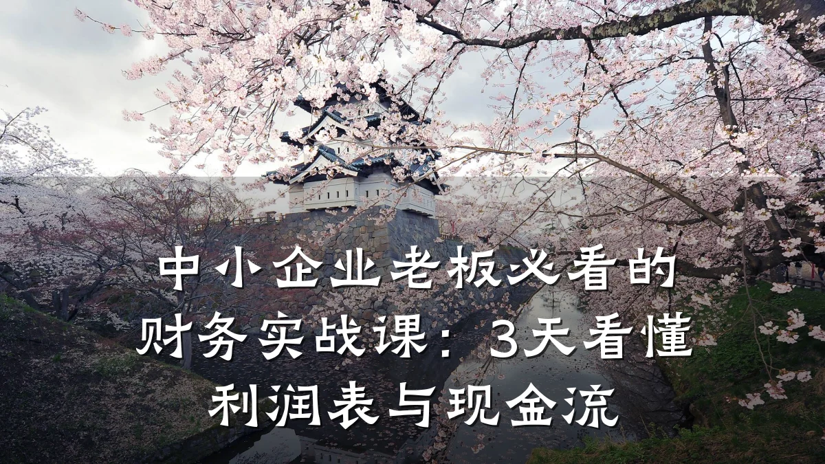 中小企业老板必看的财务实战课:3天看懂利润表与现金流