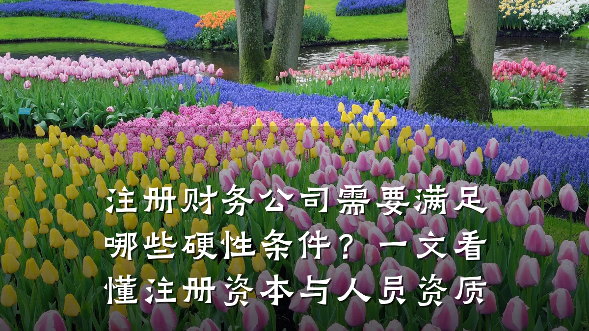 注册财务公司需要满足哪些硬性条件?一文看懂注册资本与人员资质