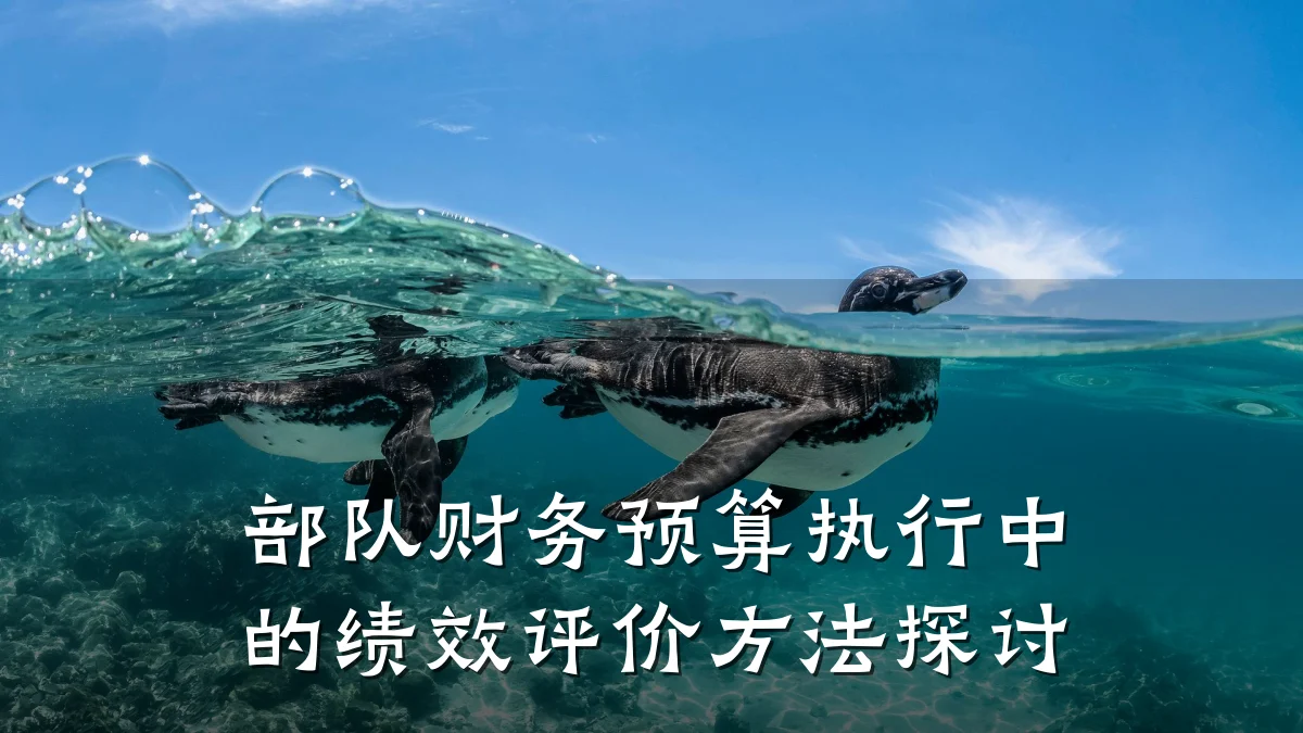 部队财务预算执行中的绩效评价方法探讨
