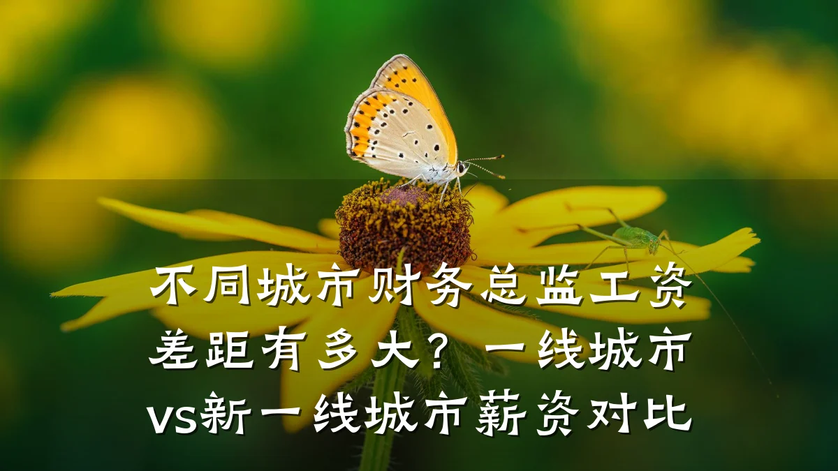 不同城市财务总监工资差距有多大?一线城市vs新一线城市薪资对比