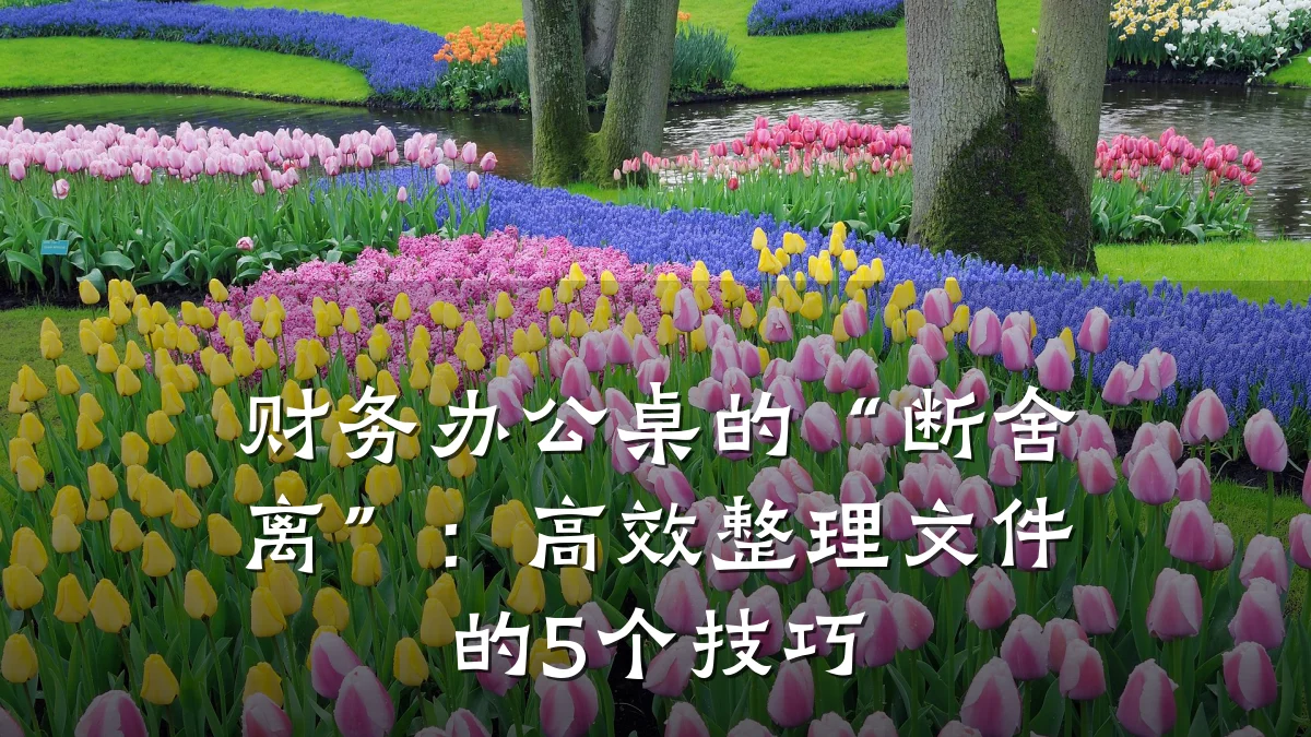财务办公桌的“断舍离”:高效整理文件的5个技巧