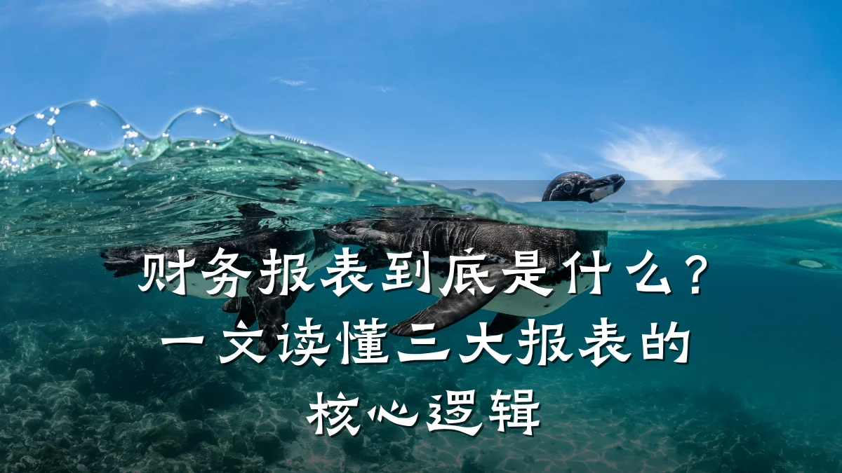 财务报表到底是什么？一文读懂三大报表的核心逻辑