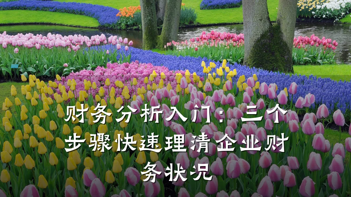 财务分析入门:三个步骤快速理清企业财务状况