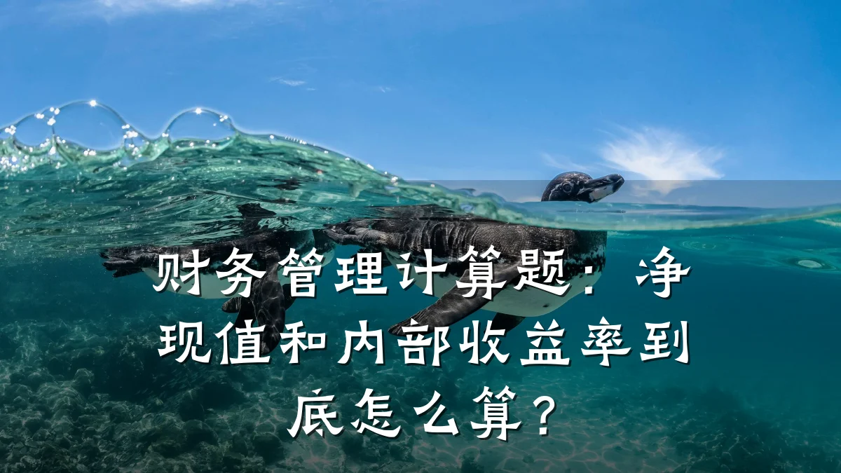 财务管理计算题:净现值和内部收益率到底怎么算?