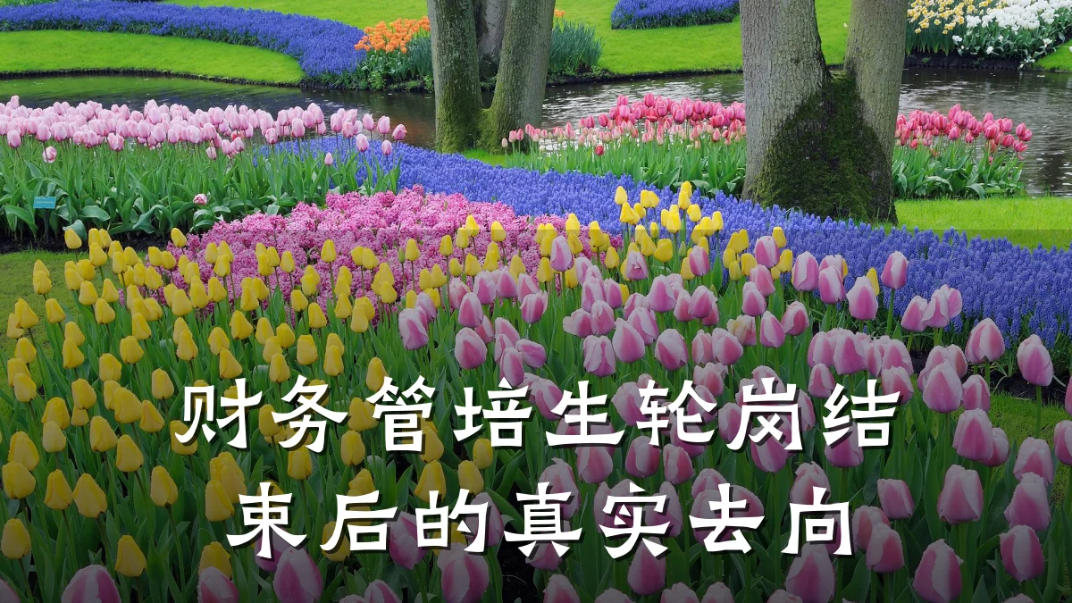 财务管培生轮岗结束后的真实去向