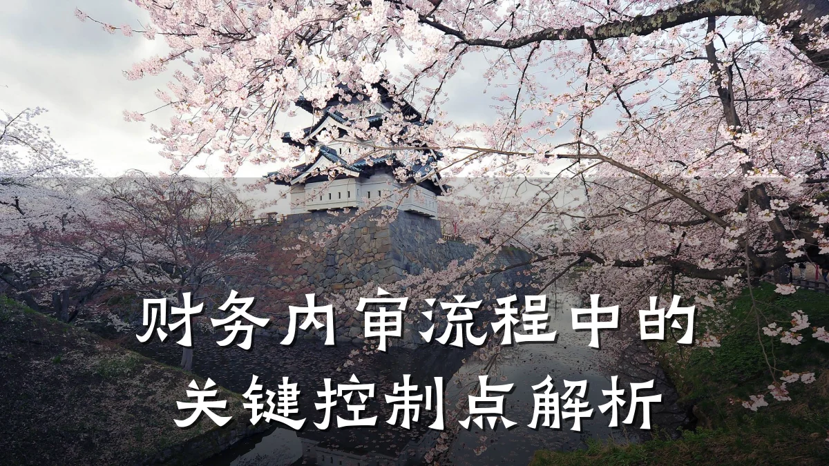 财务内审流程中的关键控制点解析