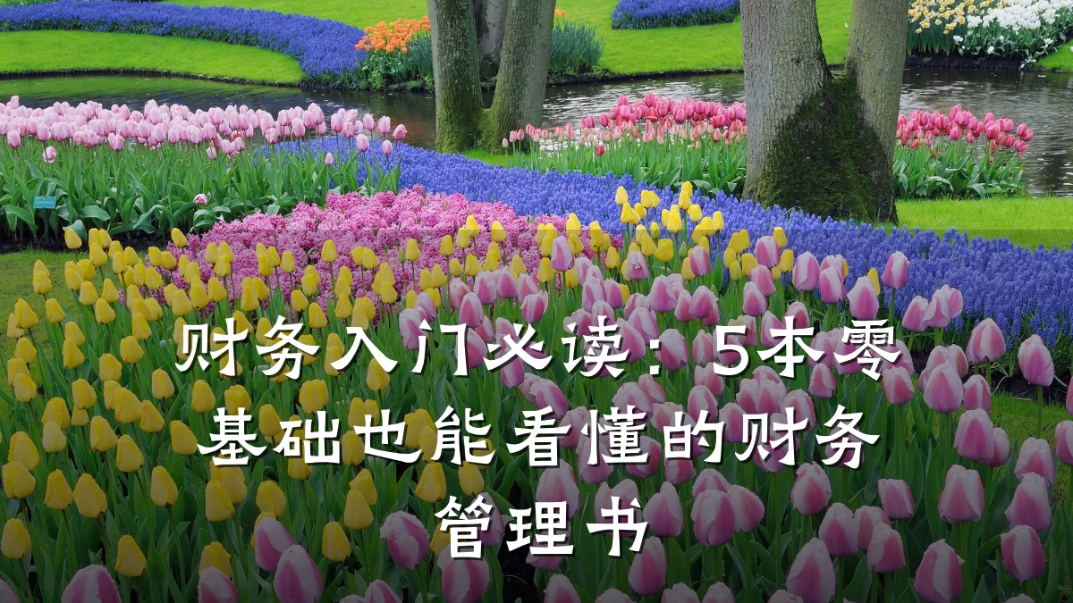 财务入门必读:5本零基础也能看懂的财务管理书