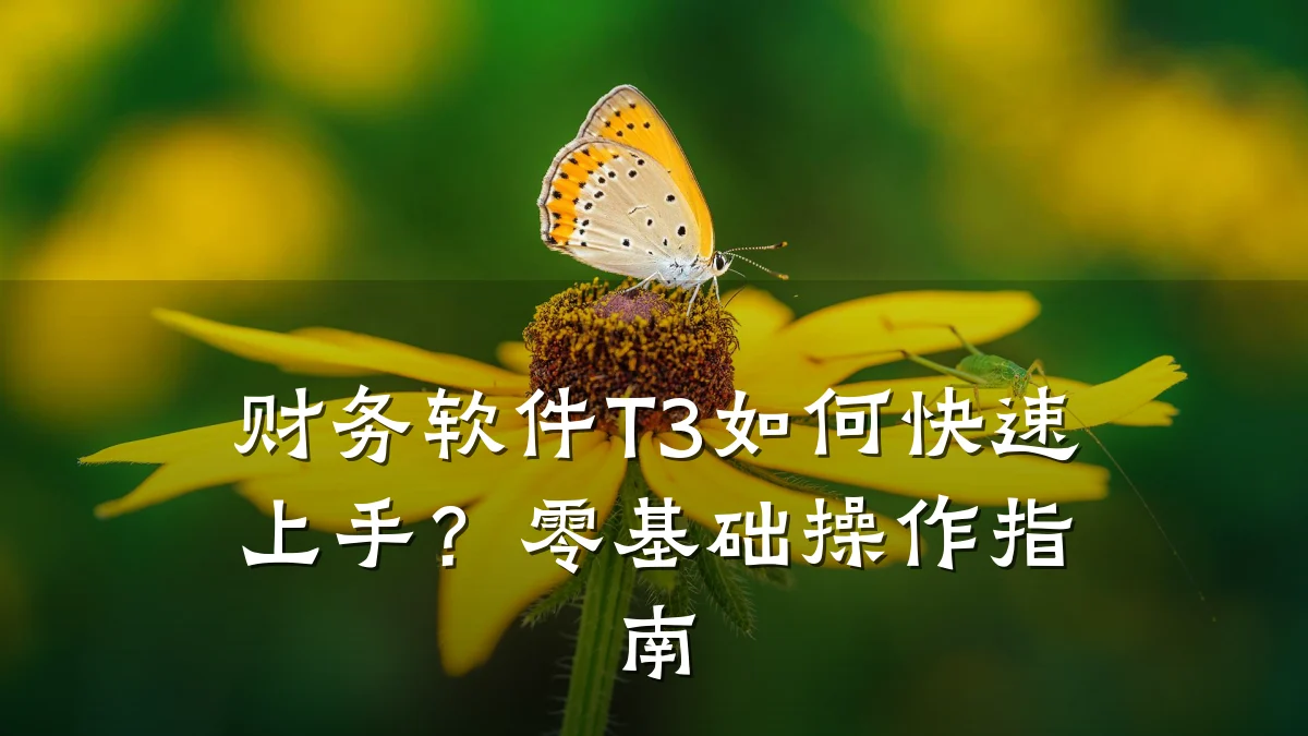 财务软件T3如何快速上手?零基础操作指南
