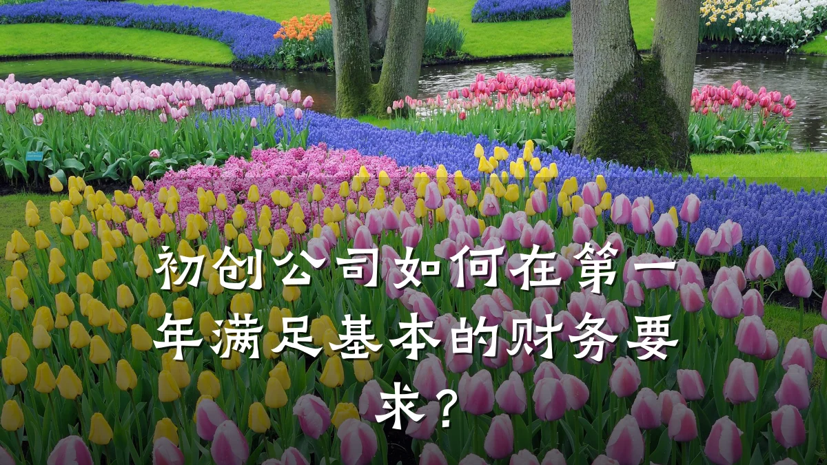 初创公司如何在第一年满足基本的财务要求?