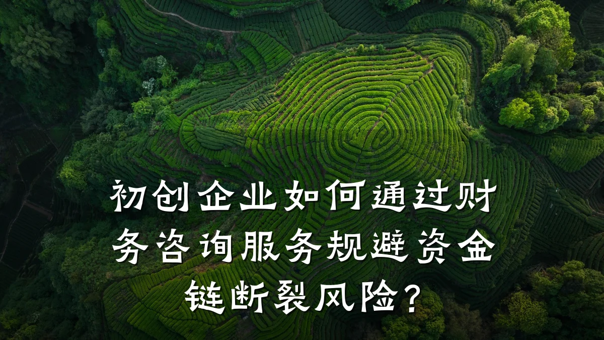 初创企业如何通过财务咨询服务规避资金链断裂风险？