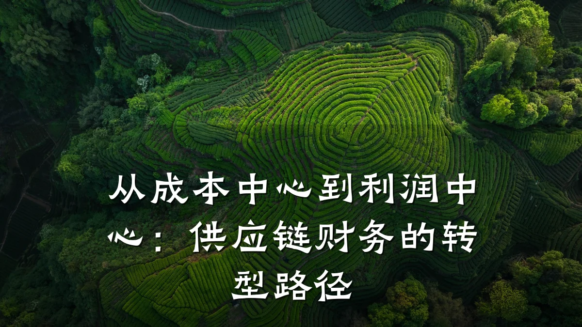 从成本中心到利润中心:供应链财务的转型路径
