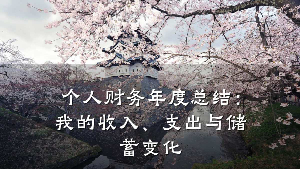 个人财务年度总结：我的收入、支出与储蓄变化