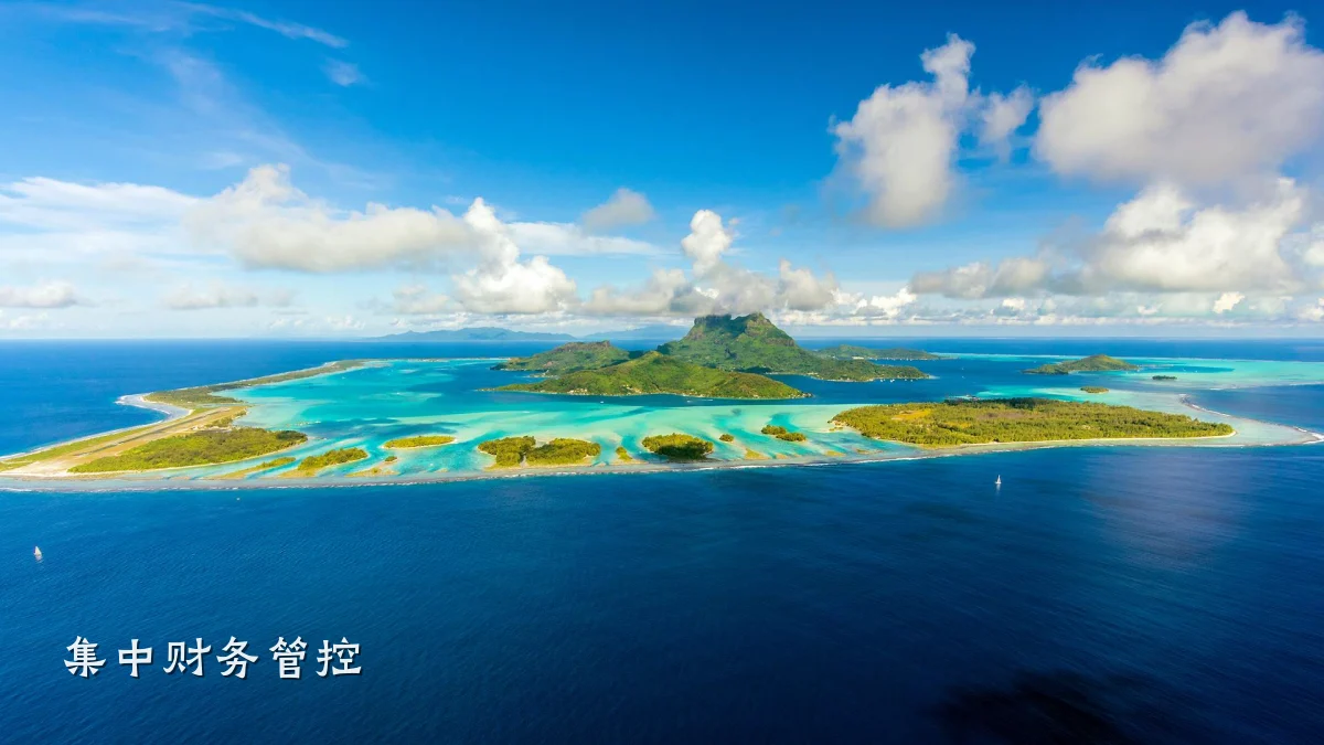 集中财务管控