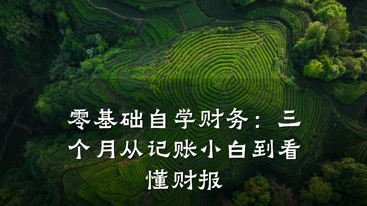 零基础自学财务:三个月从记账小白到看懂财报