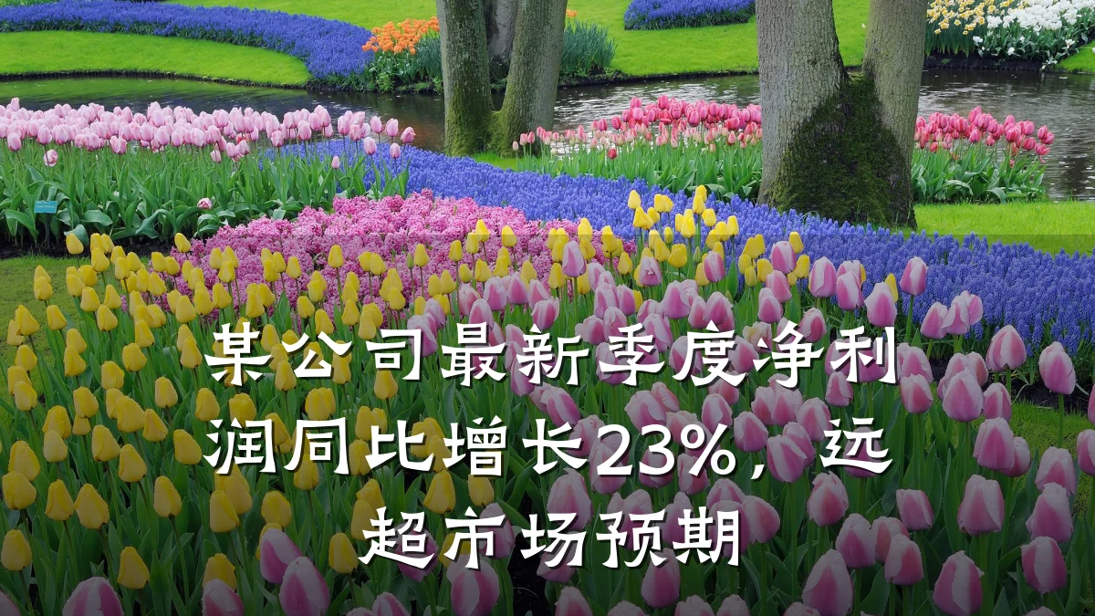 某公司最新季度净利润同比增长23%,远超市场预期