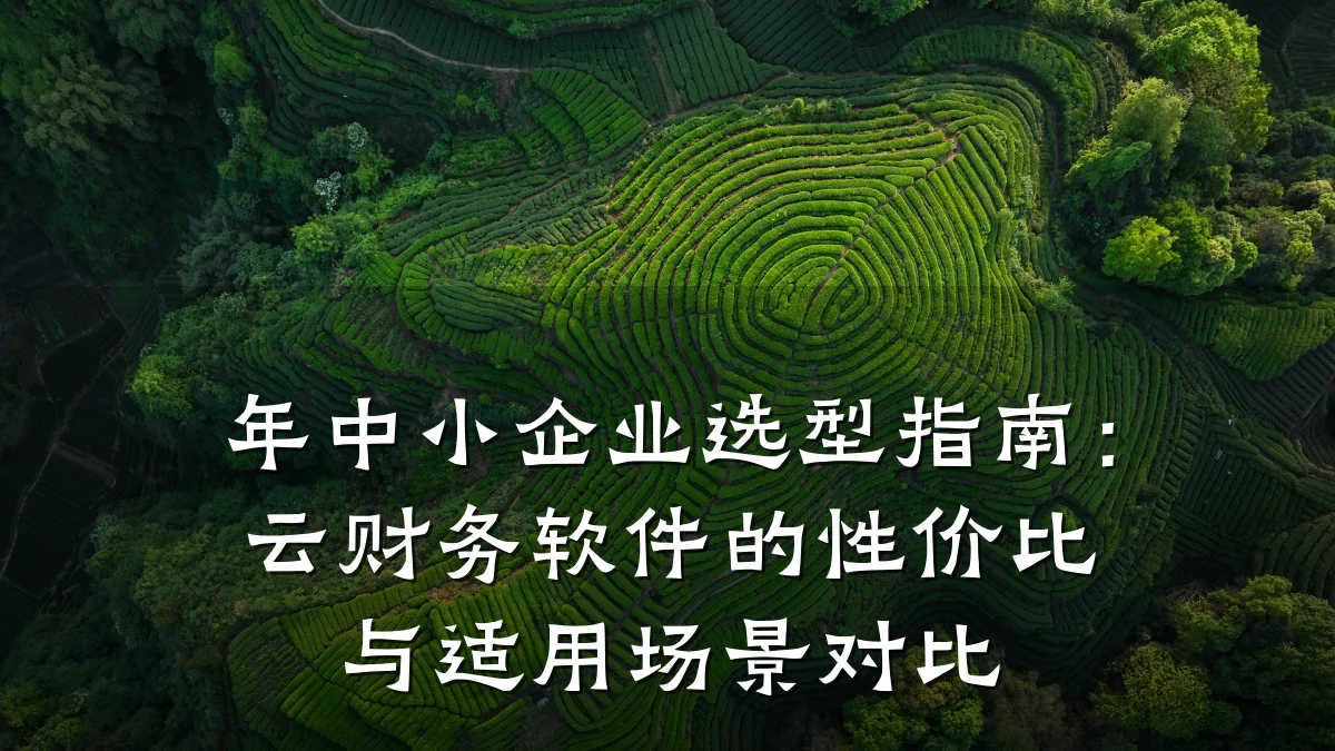 年中小企业选型指南:云财务软件的性价比与适用场景对比