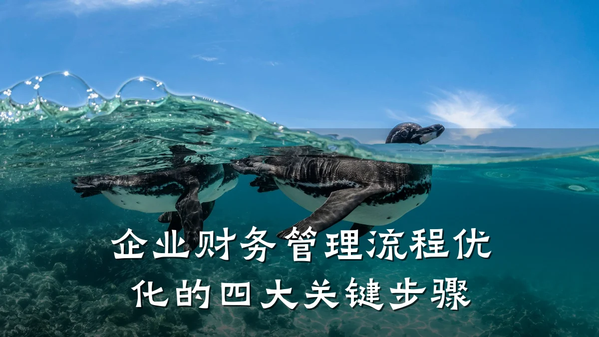 企业财务管理流程优化的四大关键步骤