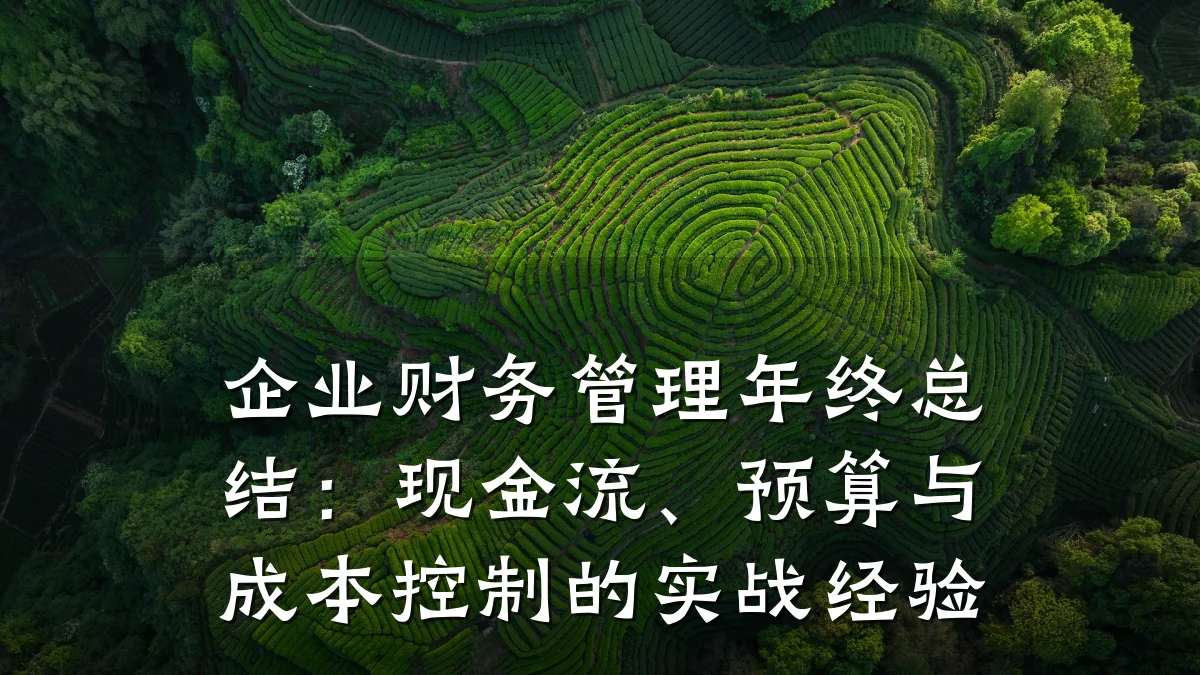 企业财务管理年终总结:现金流、预算与成本控制的实战经验