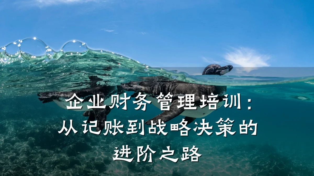 企业财务管理培训:从记账到战略决策的进阶之路