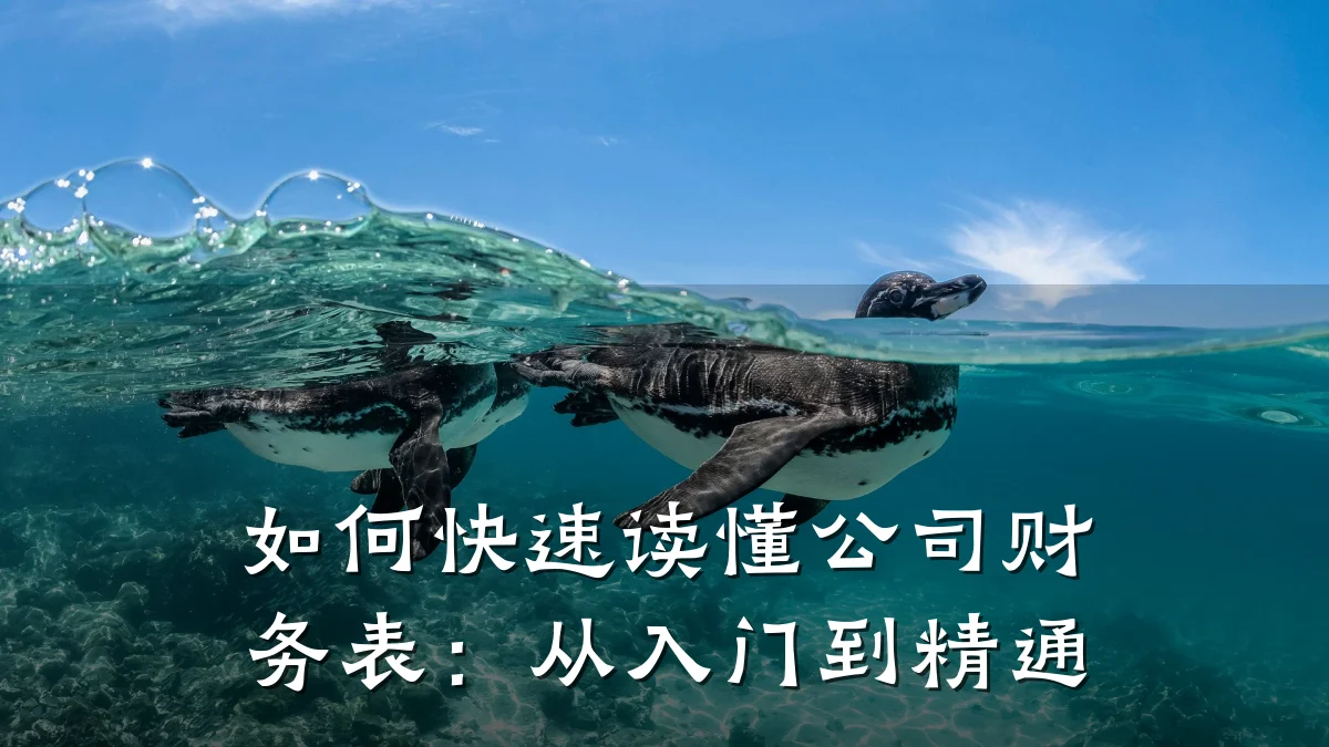 如何快速读懂公司财务表:从入门到精通