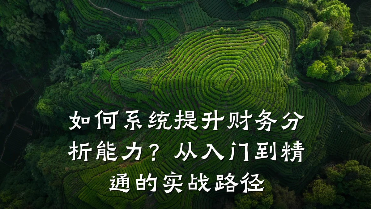 如何系统提升财务分析能力?从入门到精通的实战路径
