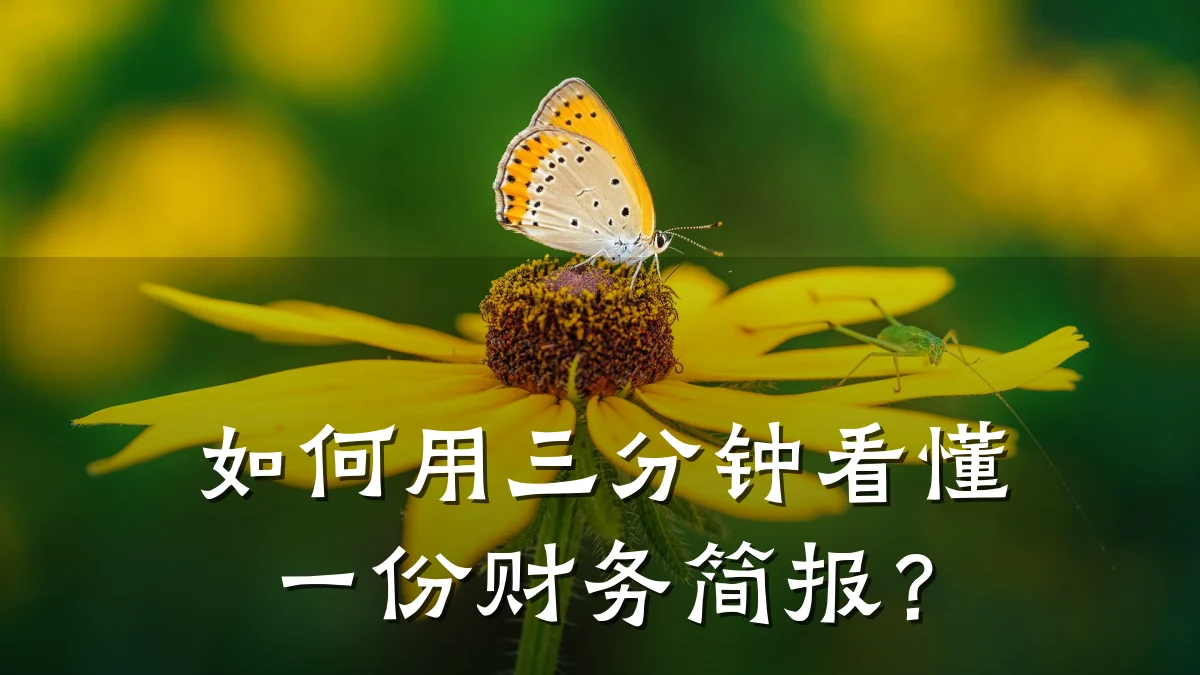 如何用三分钟看懂一份财务简报?