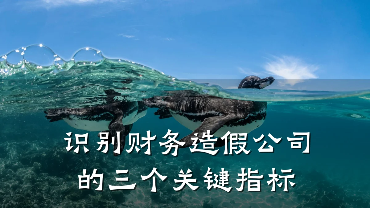 识别财务造假公司的三个关键指标