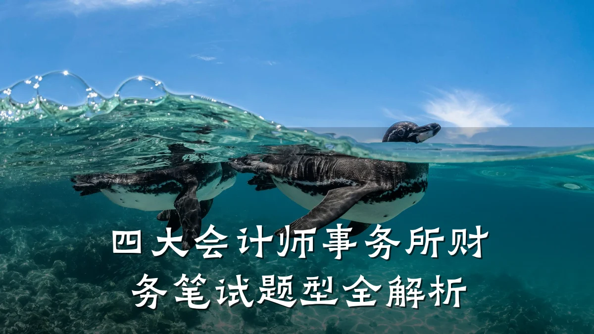 四大会计师事务所财务笔试题型全解析