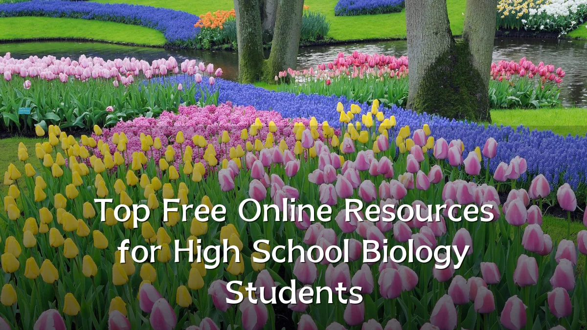 Top Free Online Resources for High School Biology Students